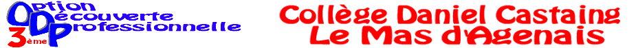 le site du Collge Daniel Castaing